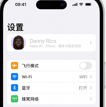 顺河回族appleID维修服务iPhone设置中Apple ID显示为灰色无法使用 