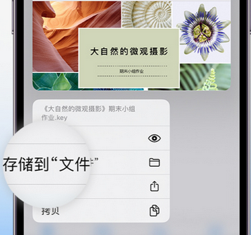 顺河回族apple维修中心分享iPhone文件应用中存储和找到下载文件