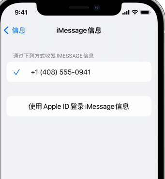 顺河回族apple维修iPhone上无法正常发送iMessage信息 