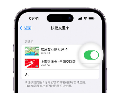 顺河回族apple维修点分享iPhone上更换Apple Pay快捷交通卡手绘卡面 