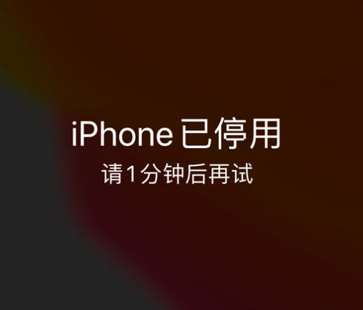 顺河回族苹果手机维修分享:iPhone 显示“不可用”或“已停用”怎么办？还能保留数据吗？ 