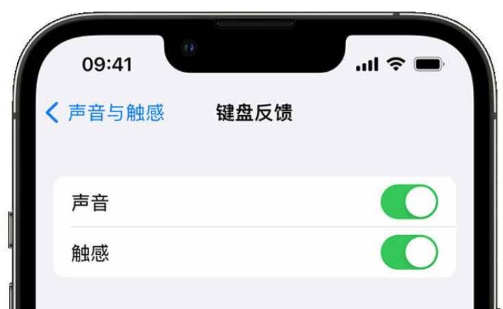 顺河回族苹果手机维修分享iPhone 14触感键盘使用方法 