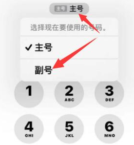 顺河回族苹果14维修店分享iPhone 14 Pro Max使用副卡打电话的方法 