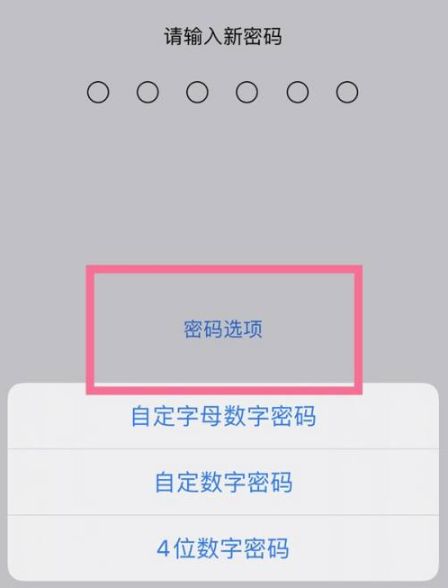 顺河回族苹果14维修分享iPhone 14plus设置密码的方法 