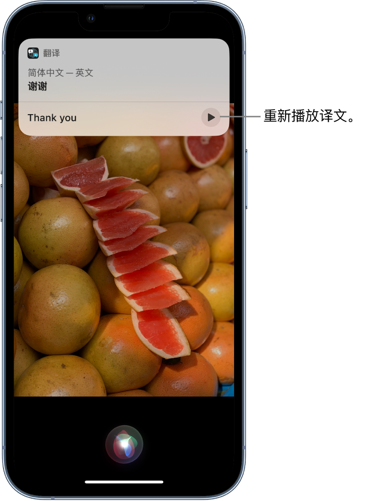 顺河回族苹果14维修分享 iPhone 14 机型中使用 Siri：了解 Siri 能帮你做什么 