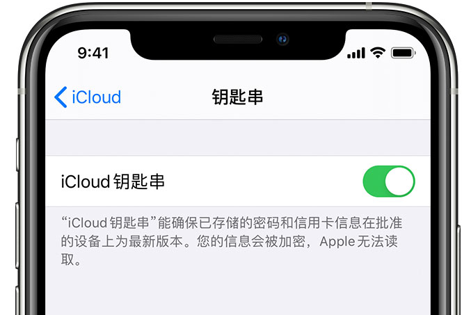 顺河回族苹果手机维修分享在 iPhone 上开启 iCloud 钥匙串之后会储存哪些信息 