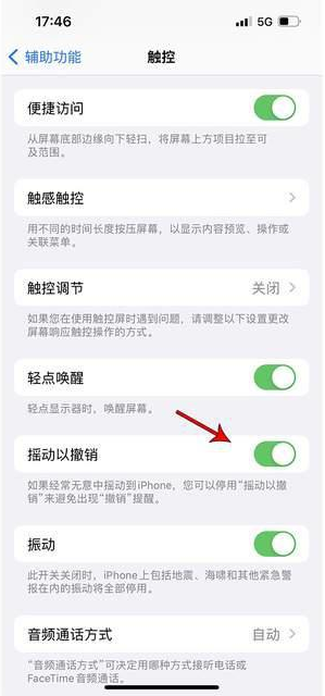 顺河回族苹果手机维修分享iPhone手机如何设置摇一摇删除文字 